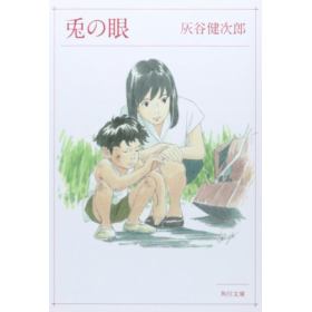 兎の眼のあらすじ 作品解説 レビューン小説