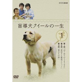 盲導犬クイールの一生のあらすじ 作品解説 レビューンドラマ
