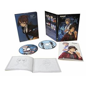 アクティヴレイド 機動強襲室第八係 のあらすじ 作品解説 レビューンアニメ